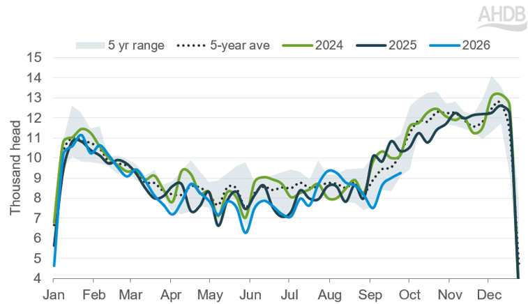 Number of cows coming though to slaughter, trending below previous years on the whole.